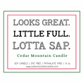 Load image into Gallery viewer, Looks Great. Little Full. Lotta Sap - Griswold Collection Soy Candle