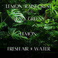 Load image into Gallery viewer, 2 oz Room Spray - Lemon Rainforest