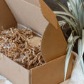 Load image into Gallery viewer, open cardboard box with crinkle paper inside and mystery candles