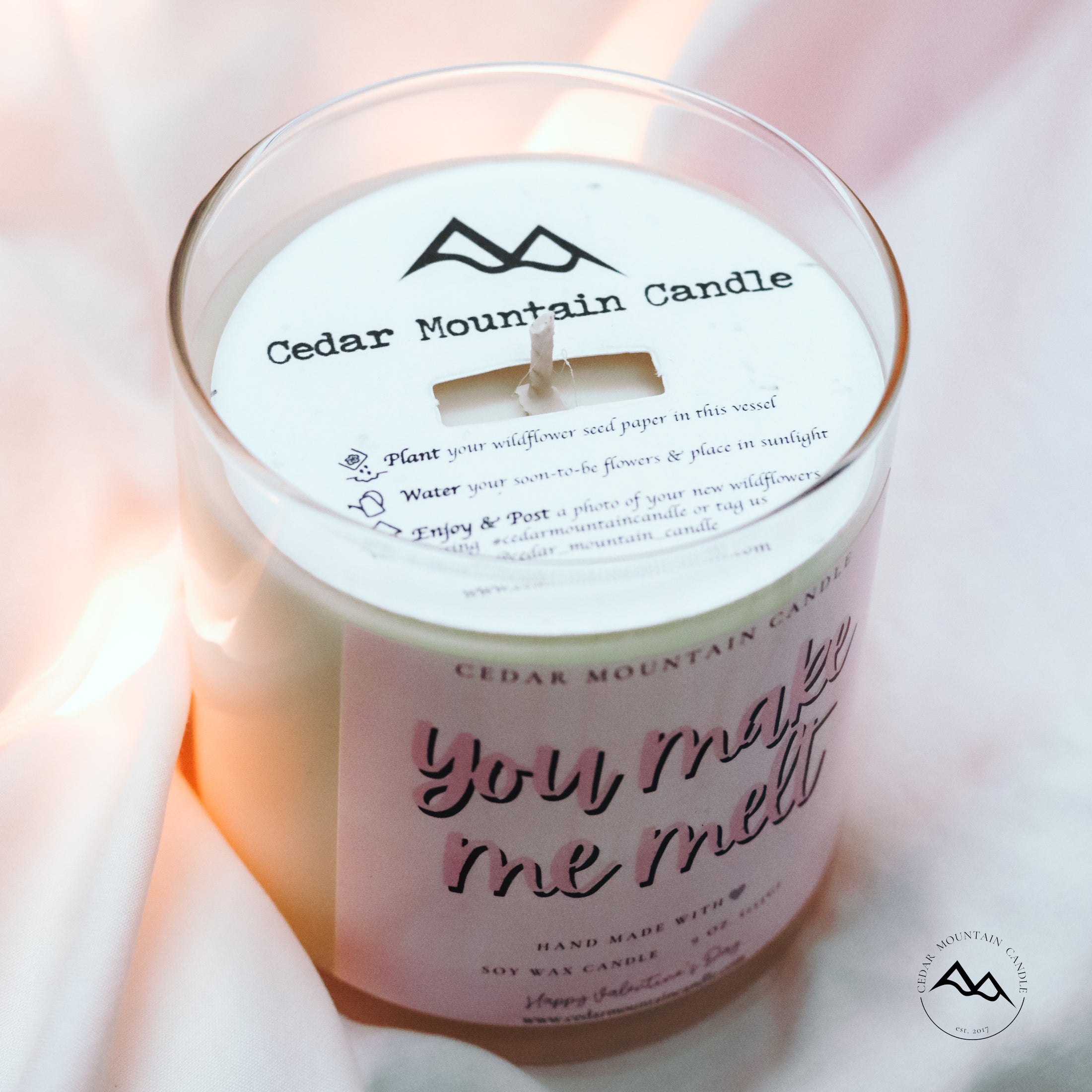 You Make Me Melt - Valentine's Day Soy Candle - 9 oz Whiskey Glass Jar - Choose Your Scent