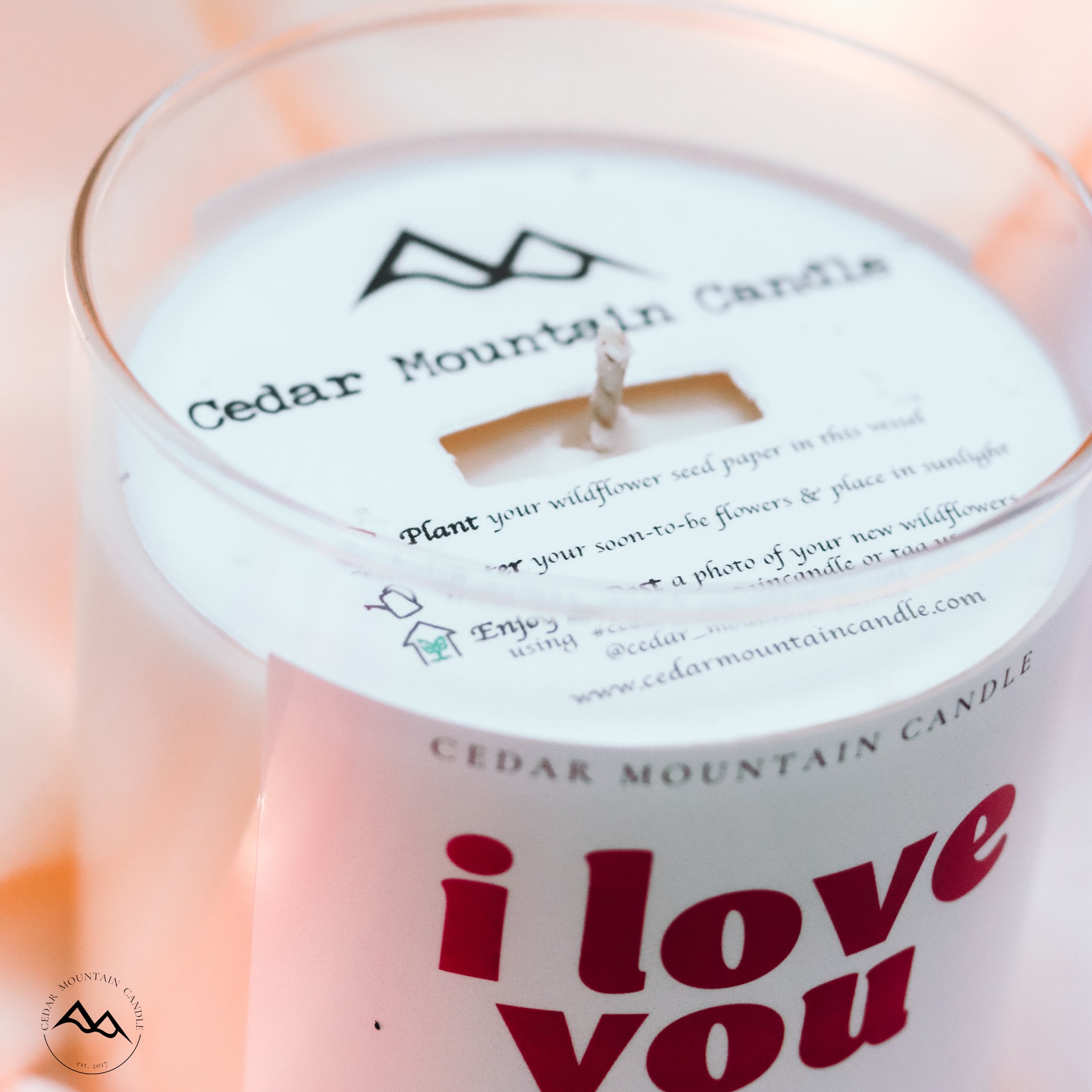 I Love You - Valentine's Day Soy Candle - 9 oz Whiskey Glass Jar - Choose Your Scent