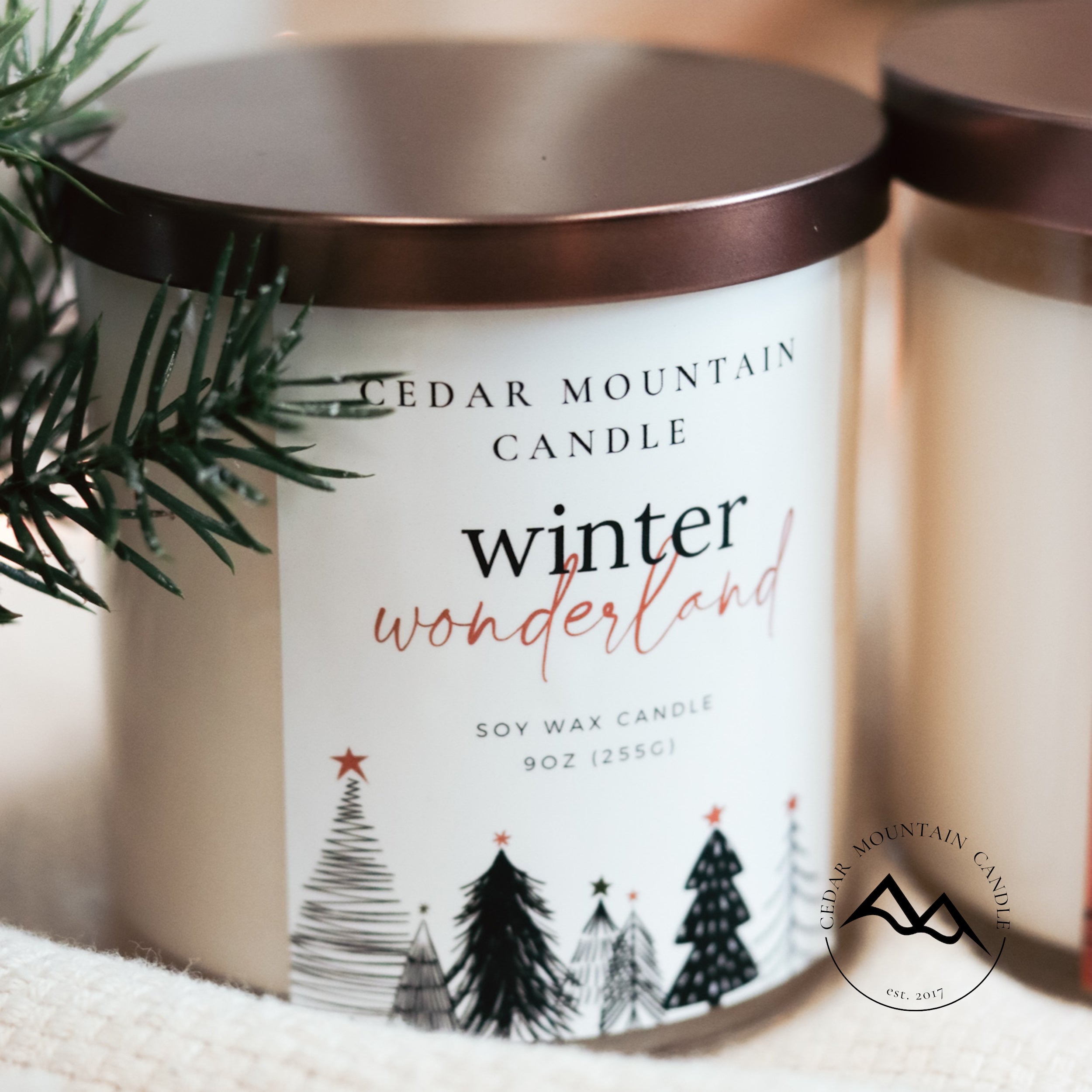 Winter Wonderland 9 oz Jar Soy Candle – Cedar Mountain Candle