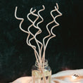 Load image into Gallery viewer, Sea Salt & Orchid - Spiral Reed Diffuser
