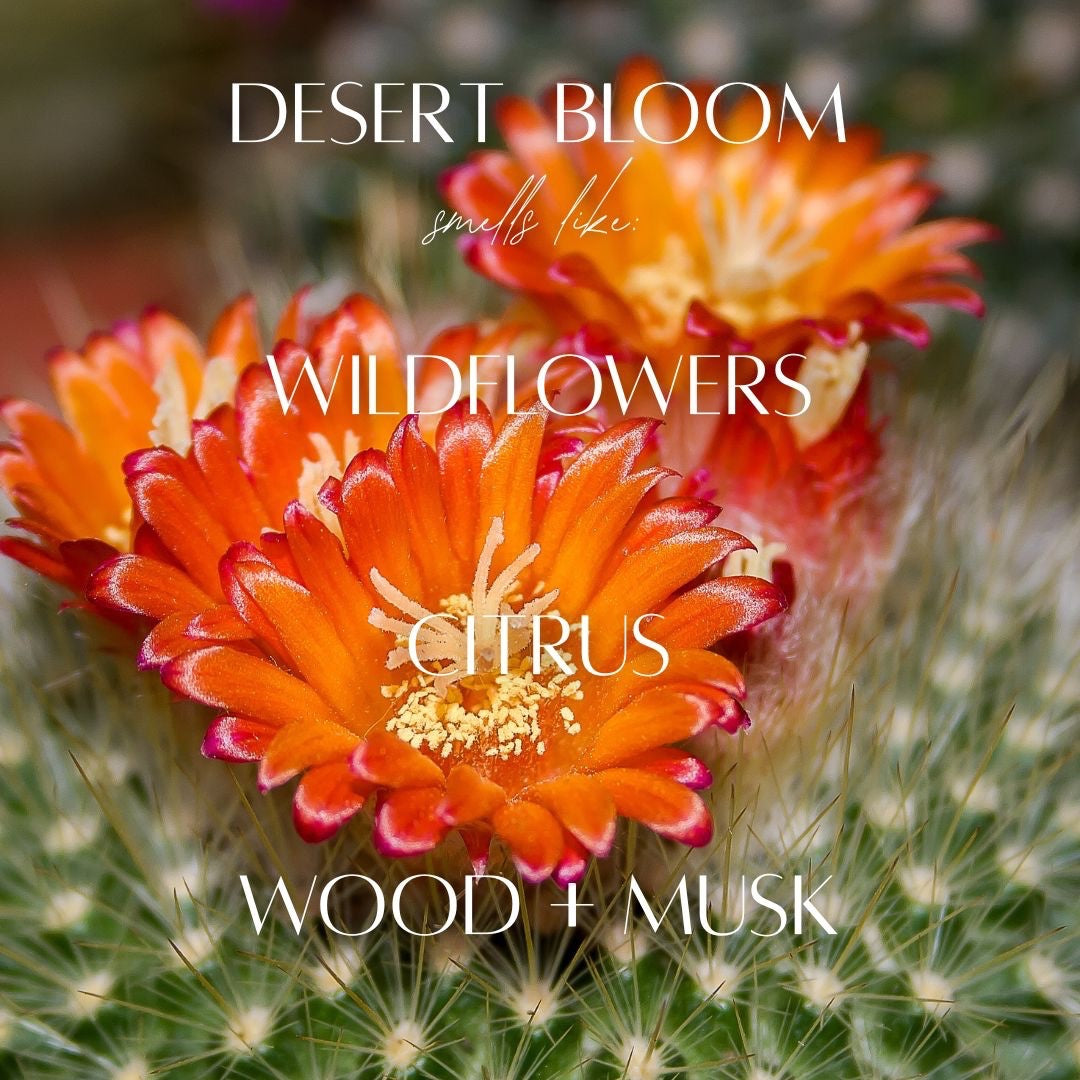 Cedar Mountain Candle Desert Bloom Roll-On Perfume Oil with citrus, coconut milk, wood, and musk notes.