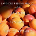 Load image into Gallery viewer, Cedar Mountain Candle Lavender & Spring Apricot Perfume Roller, a blend of floral and fruity notes.

