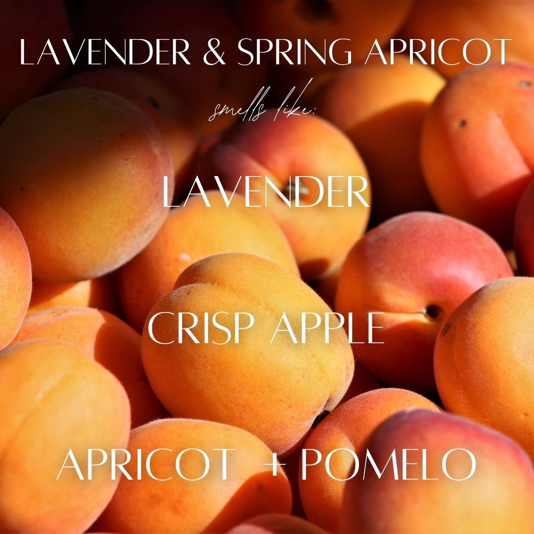 Cedar Mountain Candle Lavender & Spring Apricot Perfume Roller, a blend of floral and fruity notes.