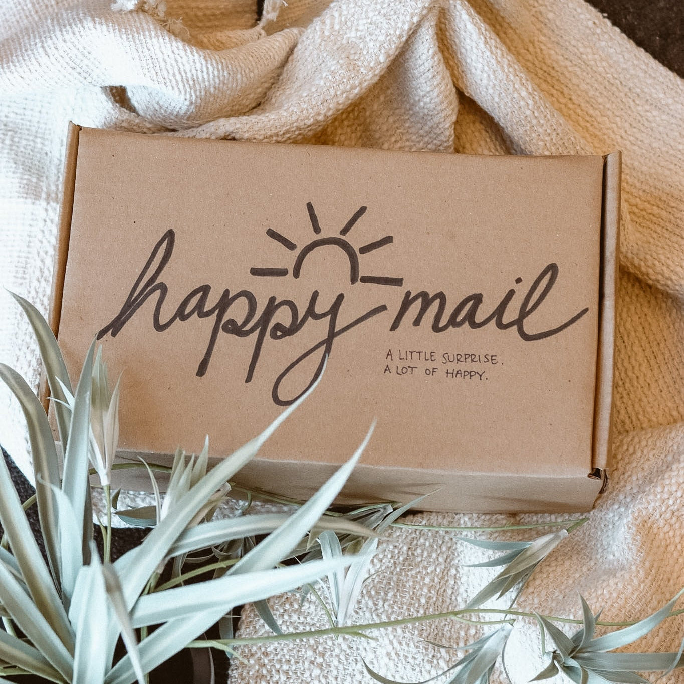 brown box with happy mail writing on top on the floor with a green plant over it