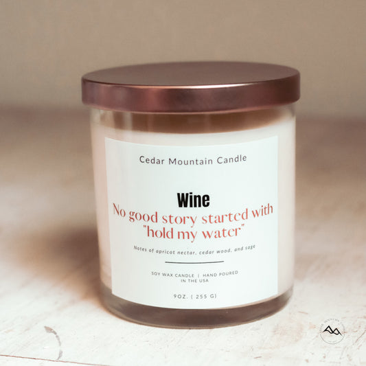 No Good Story Started with "Hold My Water"  - 9 oz Soy Candle