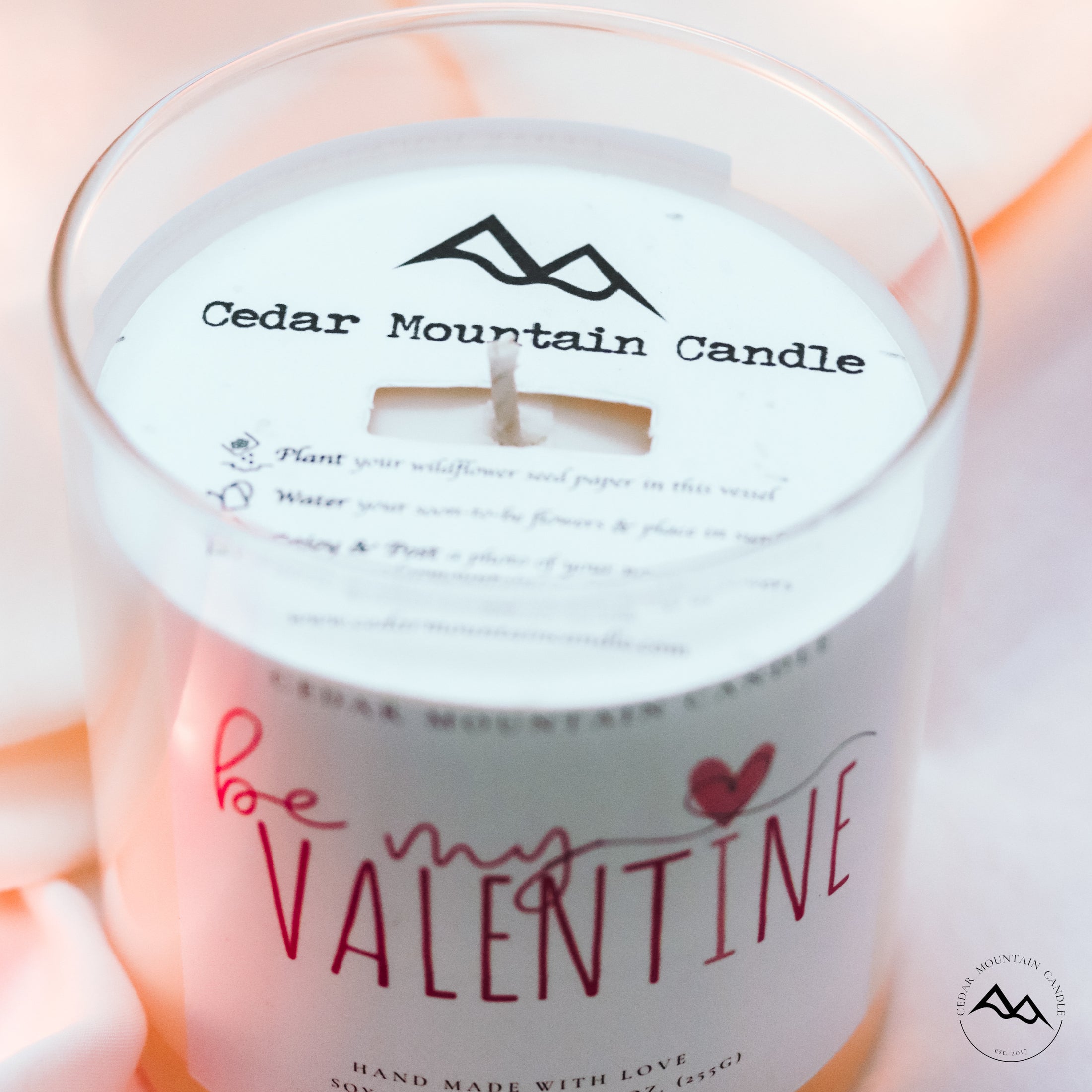 "You can live without.." Galentine's Day 9 oz Whiskey Glass Jar Soy Candle - Choose Your Scent