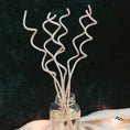 Load image into Gallery viewer, Crystalized Citrus - Spiral Reed Diffuser
